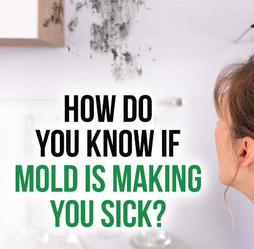Dangers of Mold Damage | Certified Water Mold Restoration Llc