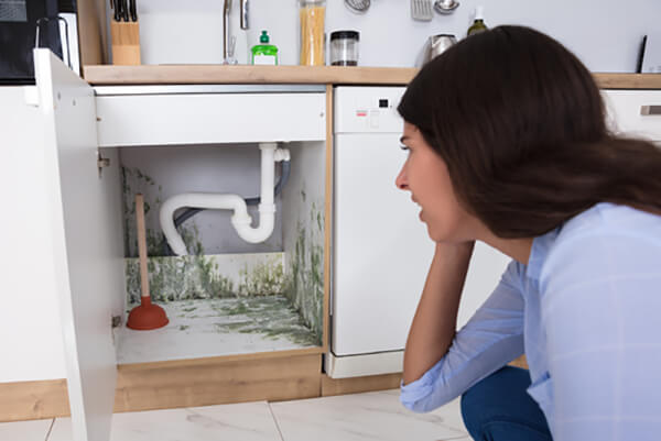 how to prevent mold in your home