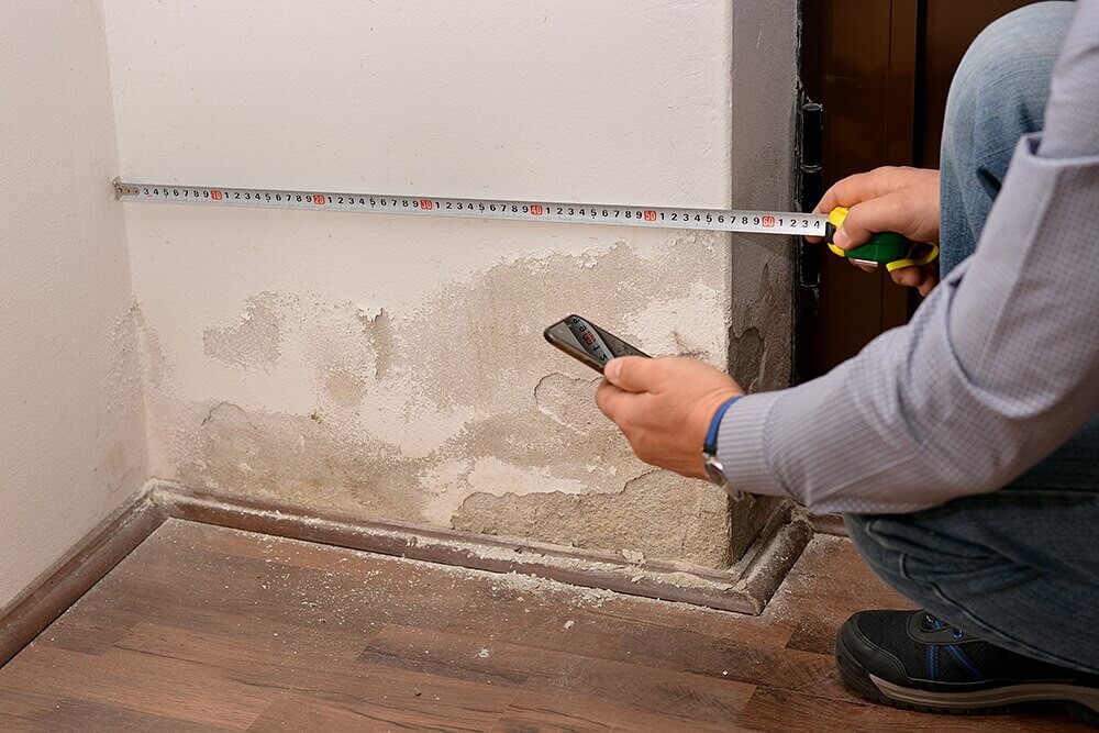 spot and stop mold damage