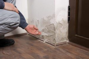 water damaged drywall