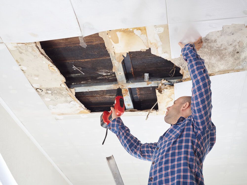 Damagerestoration | Certified Water  Mold Restoration Llc restore water damage in a ceiling