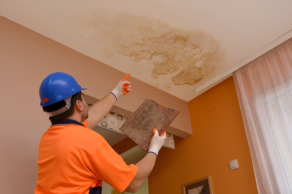 Understanding the Impact of Water Damage