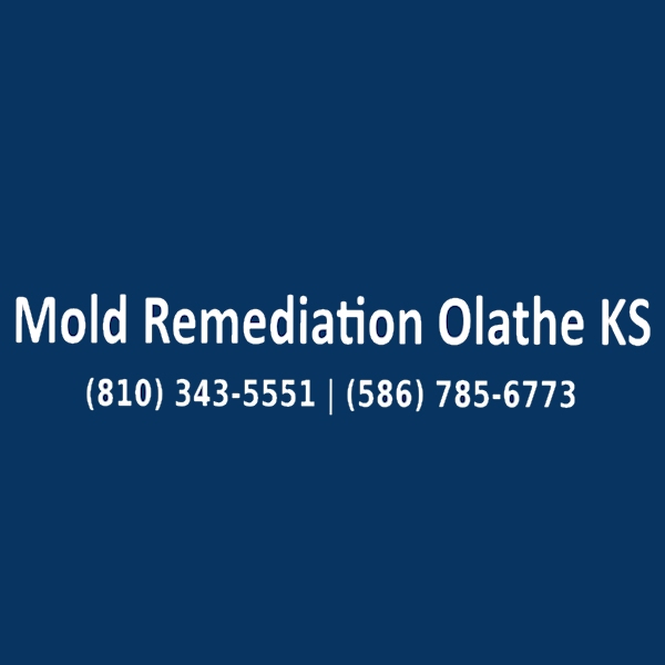 Mold Remediation Olathe KS | CWM Restoration